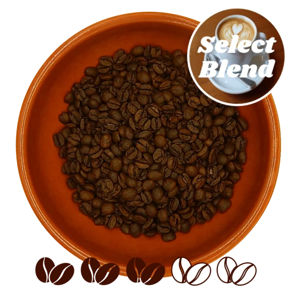 Brazilian Decaffeinated Coffee Beans Single Origin Medium Roast