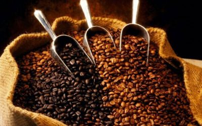 Coffee Roasts: Which is The Best Roast Level?